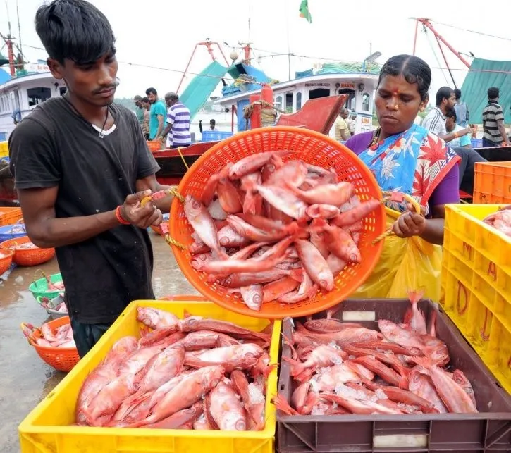 72 percent people in the country are 'fish eaters'