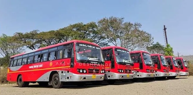 50 new buses in transport fleet