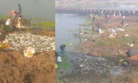 Kolhapur Panchgana river drinking water Polution