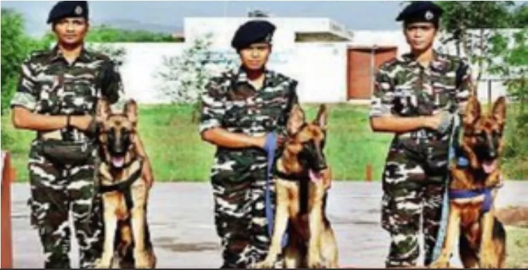 SSB's dog team will be handled by women employees