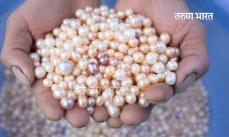 farming of pearls Kolhaur