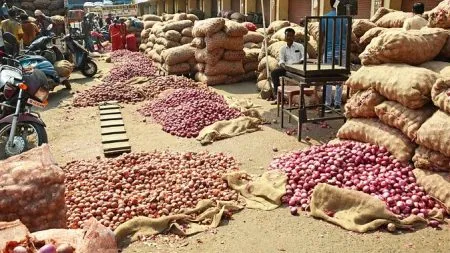 Export of 1 lakh tonnes of onion allowed