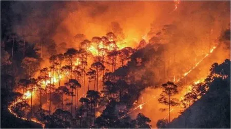 Fire in the forests of Uttarakhand