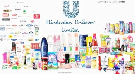 2406 crore profit to Hindustan Unilever