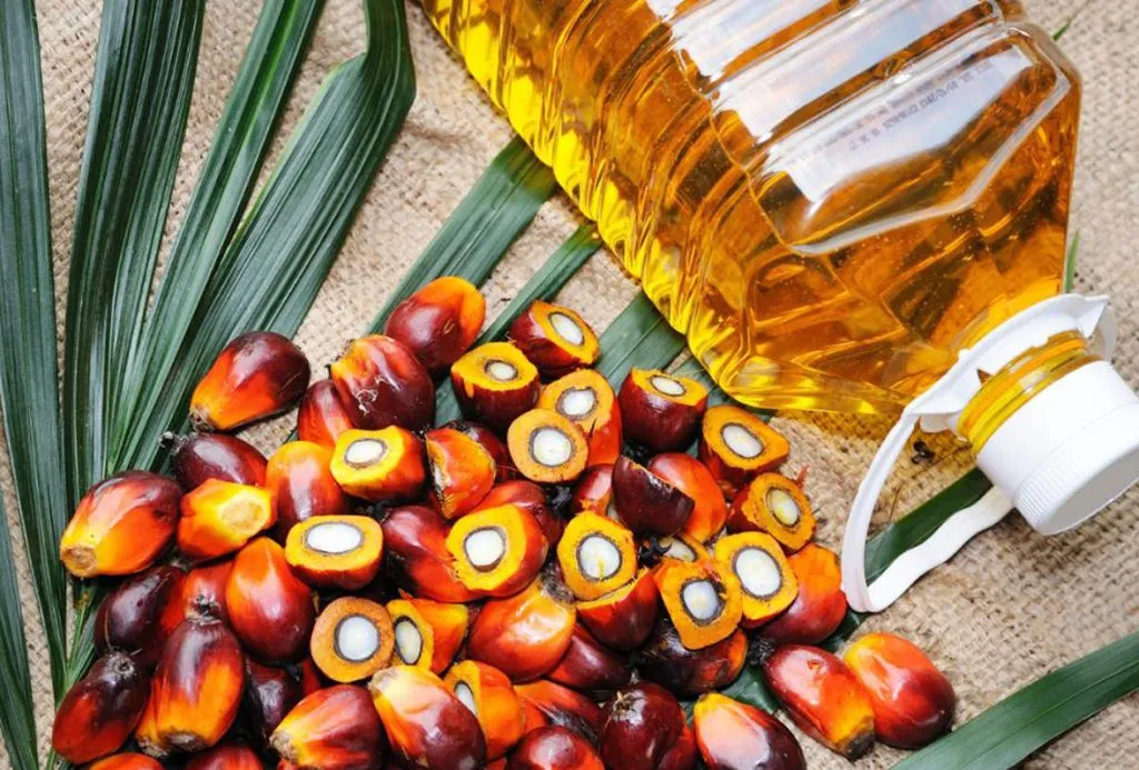 Palm oil imports at 10-month low
