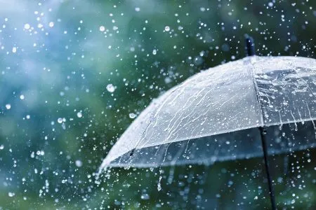 Rain with thunder in the state till May 24