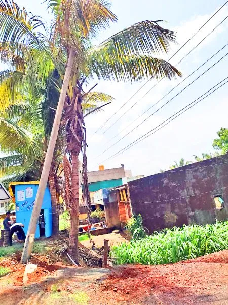 Electric poles on the verge of collapse at Kenaye