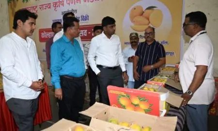 Kolhapur Mango Festival Collector Amol Wedge