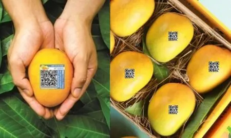 Mango with QR code