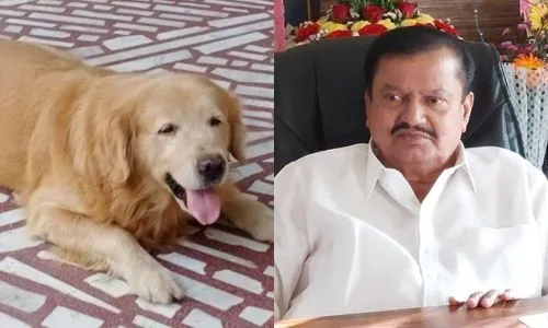 मालकाच्या विरहाने श्वानाने सोडला प्राण ! पी. एन. पाटील यांच्या ब्रुनो श्वानाची मालकाला अनोखी श्रद्धांजली
