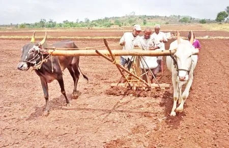 Acceleration of pre-sowing tillage work in Jamboti area