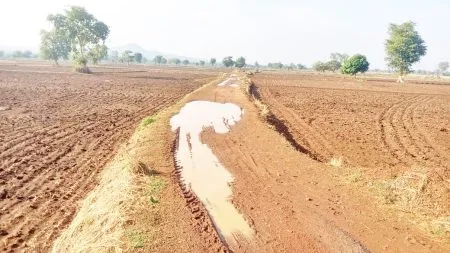 Demand for asphalting of roads in Majgaon farm