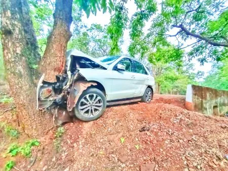A woman was killed when her BMW collided with a tree