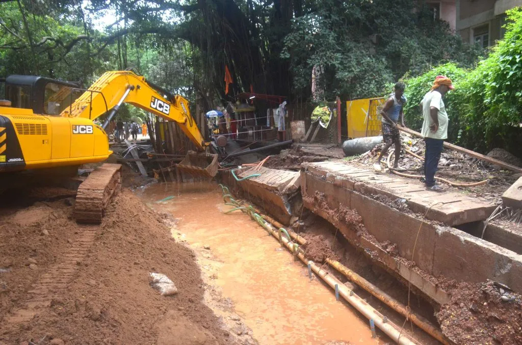श्री ताडमाड देवस्थान, वटवृक्षावर संकट Crisis on Sri Tadmad Temple, Banyan tree