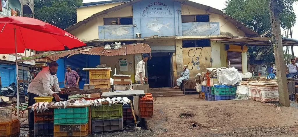 Citizens' health is at risk due to open sale of fish