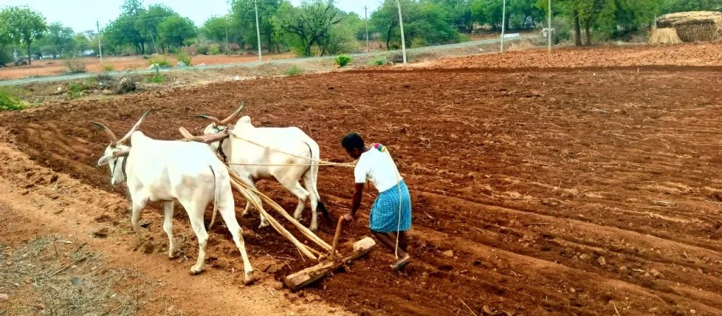 Nutrient environment, acceleration of sowing work