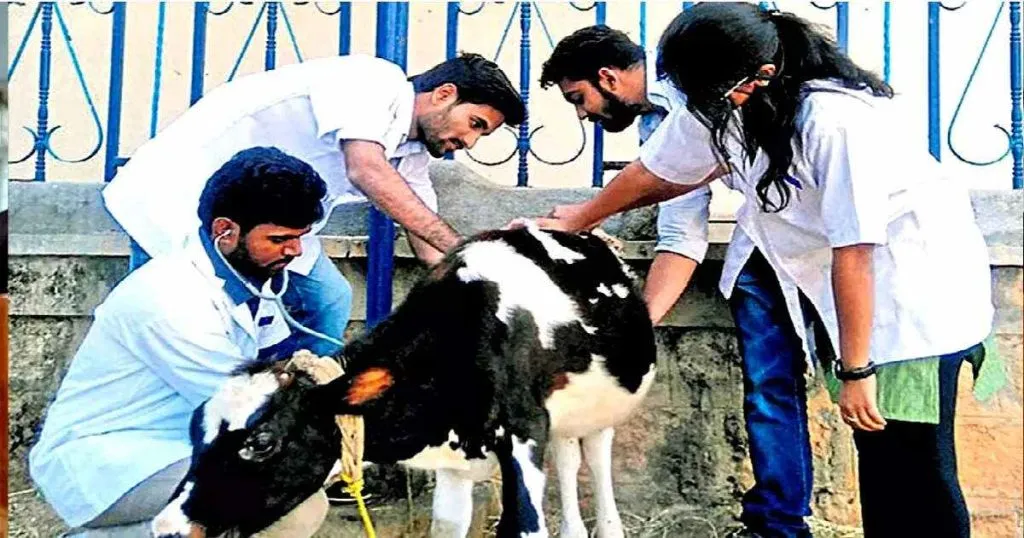 The situation of animal husbandry department in the district is dire
