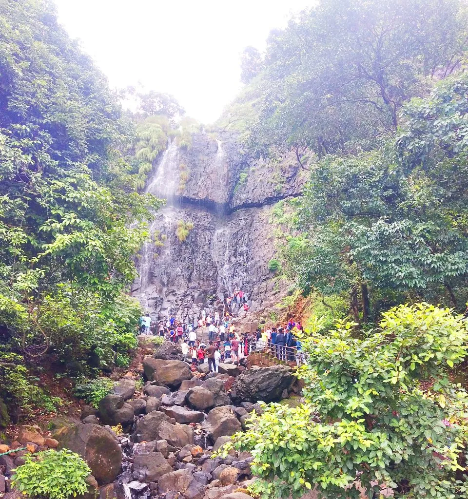 Fewer tourists in Amboli despite the waterfalls flowing