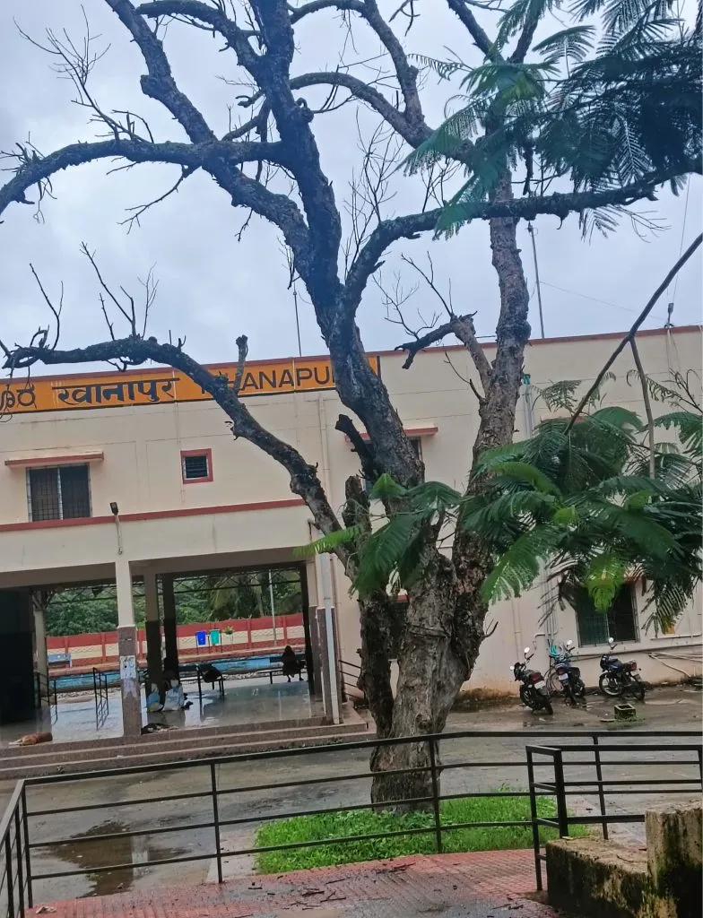 Demand for removal of dangerous trees from Khanapur railway station premises