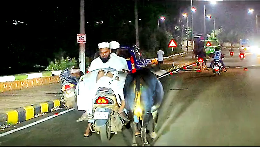 Father and son arrested in case of cow theft in Valpait, Vasau