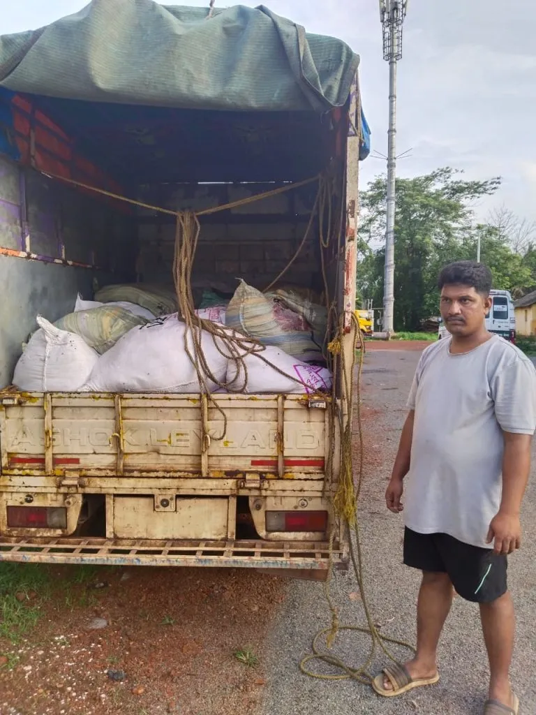 बेळगावहून गोव्यात येणारे बेकायदेशीर गोमांस जप्त Illegal beef coming from Belgaum to Goa seized