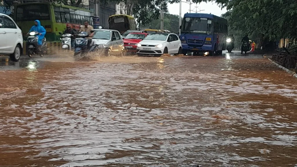 grain was blown away by the misty rain
