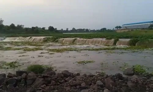 Mhaisal dam Kolhapur-Sangli