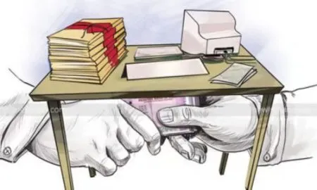 ग्रामपंचायतींच्या लेखापरीक्षणांमध्येच घोळ; जिह्यातील अनेक ग्रामपंचायत पदाधिकाऱ्यांची तक्रार grampanchayat Corruption