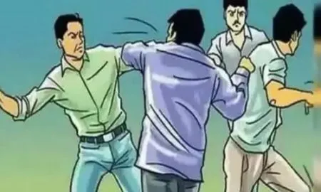 हरिपूर येथे पूर्ववैमनस्यातून २ कुटुंबात जोरात मारामारी! परस्परविरोधी तक्रारी दाखल Sangli Crime