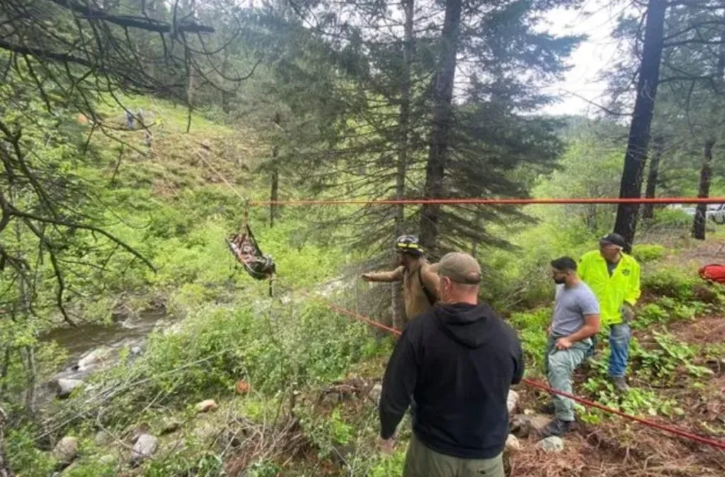 श्वानाने वाचविला जीव ! The dog saved the life!