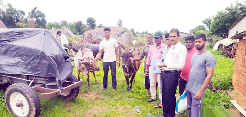Lumpy prevention campaign intensified in Khanapur taluka