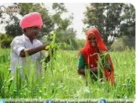 Farmers loan waiver up to two lakhs in Telangana