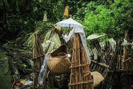 जंगलात मृतदेह ठेवण्याची अजब प्रथा A strange practice of keeping corpses in the forest