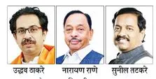 Lok Sabha elections enjoyed mixed success