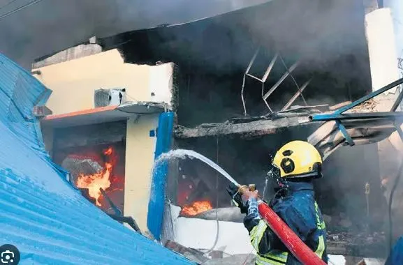 रंग कारखाना आगीत तमिळनाडूत तिघे ठार Three killed in paint factory fire in Tamil Nadu