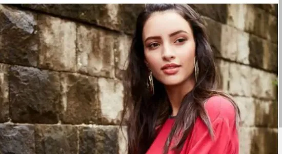 Trupti Dimri got a new movie