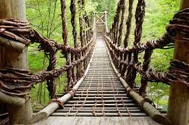 वेलींनी तयार झालेला पूल