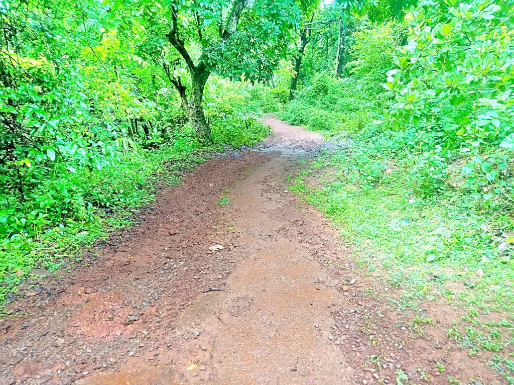 सुर्ल येथील उर्वरित रस्ता कधी पूर्ण होणार ? When will the rest of the road at Surl be completed?