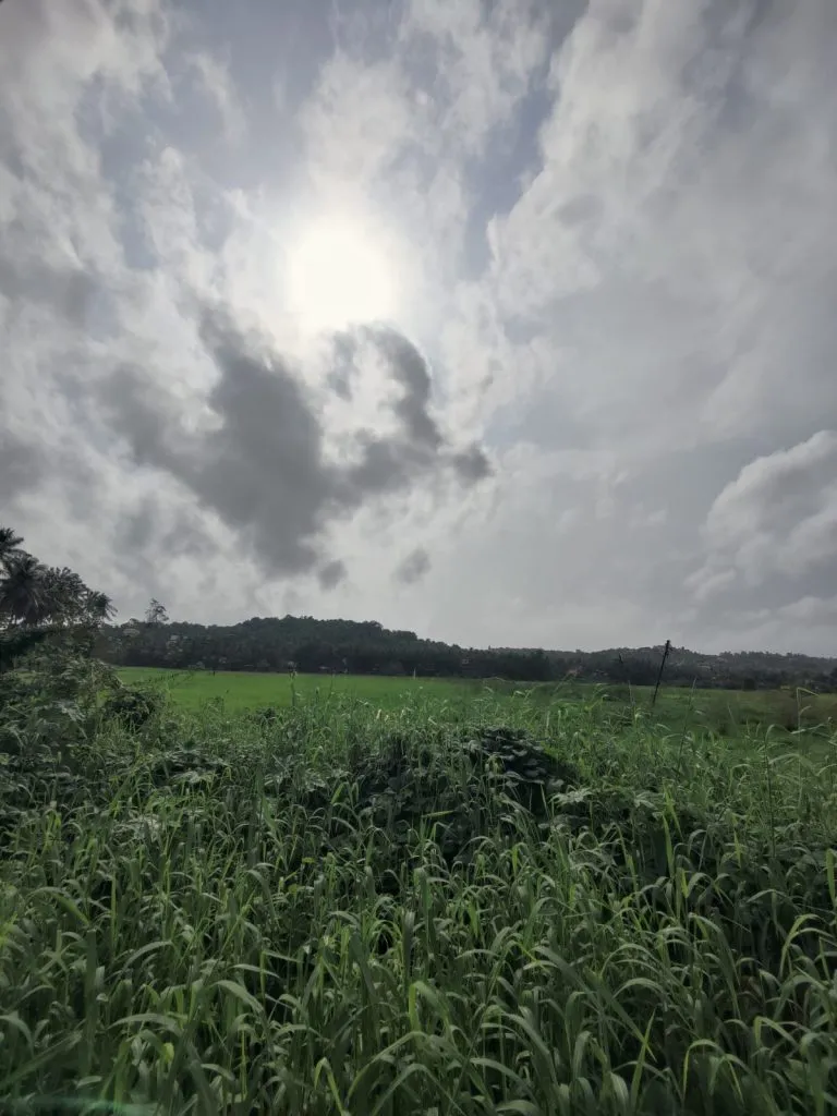 पावसाची उसंत, 20 दिवसानंतर सूर्यदर्शन Rainy spring, after 20 days sun sighting