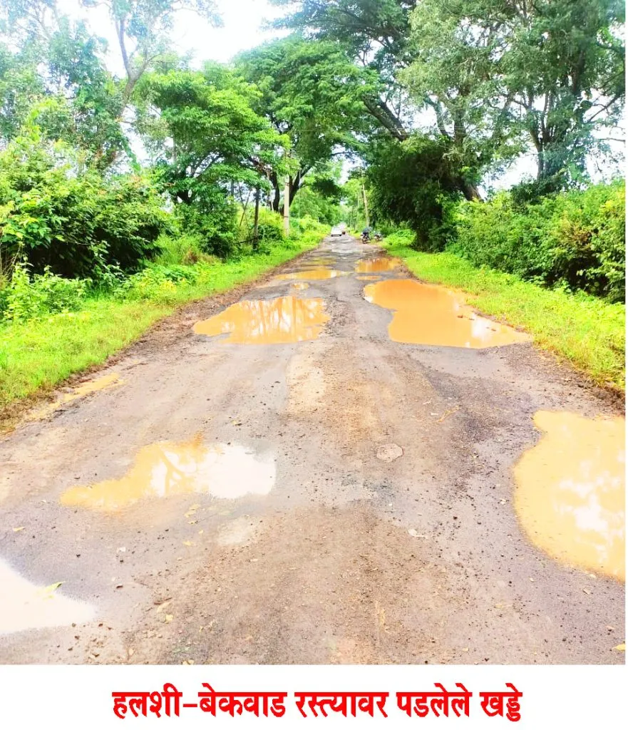 There are potholes on the Halshi-Bekwad road