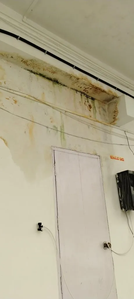 मनपा इमारतीच्या गळतीकडे वरिष्ठ अधिकारी लक्ष देणार का? Will senior officials pay attention to the leakage of municipal building?