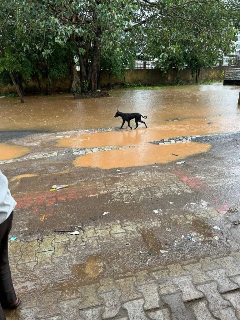 Inconvenience of customers due to water accumulation in Gandhinagar HESCOM office