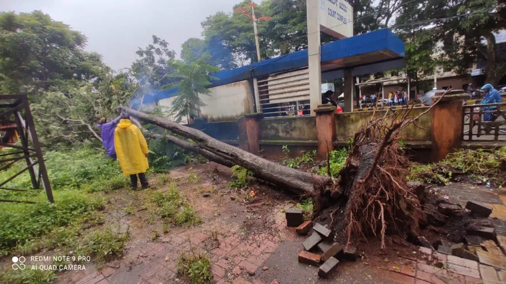 Trees fell at various places due to heavy rain