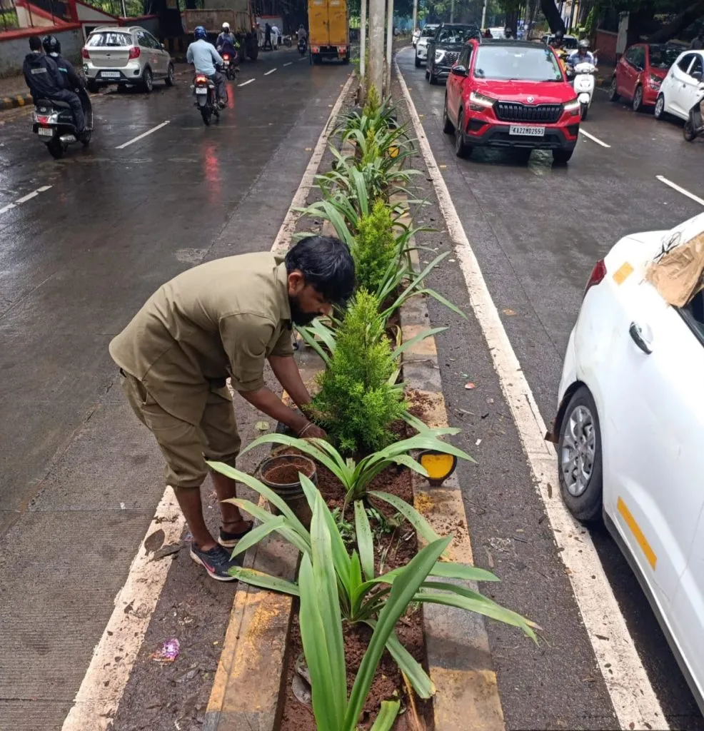 Accelerate the work of tree plantation-planting of ornamental trees by Municipal Corporation