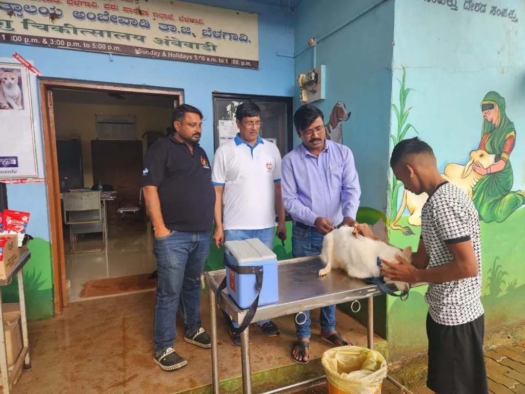 Spontaneous response to rabies vaccination