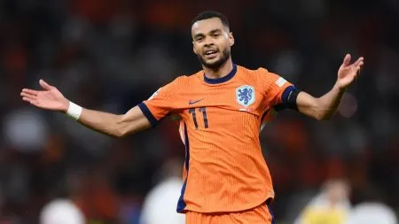 तुर्कीला भोवला स्वयंगोल, नेदरलँड्स उपांत्य फेरीत