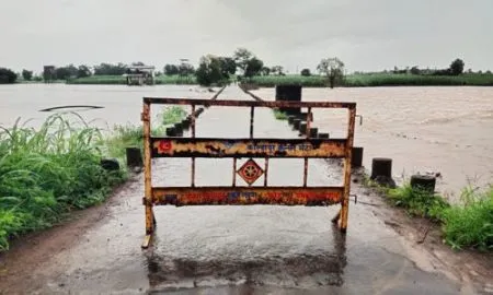 Kolhapur Panhala Rain dams full Varna river