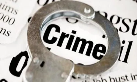 दुप्पट पैशाचे आमिष दाखवून १० लाखाची फसवणूक; चिपळुणात एकावर गुन्हा दाखल Police grab the social anxiety