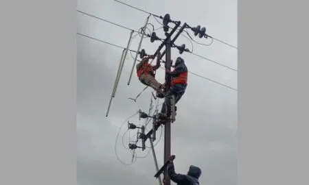 महापुराच्या पाण्यातून विद्यूत वितरण कर्मचाऱ्यांनी पार पाडली जबाबदारी Mahavitaran