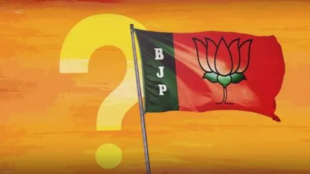 BJP will get a new president in December